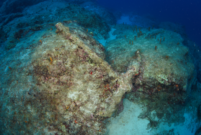 Antalya'da arkeolojik su altı çalışmaları 