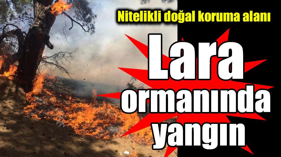 Nitelikli doğal koruma alanı Lara ormanında yangın 