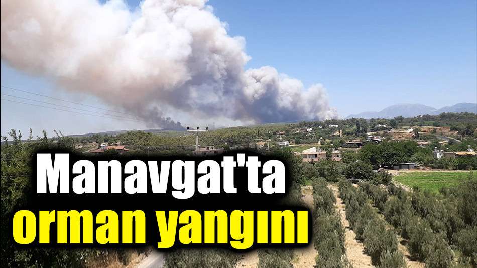 Manavgat'ta orman yangını