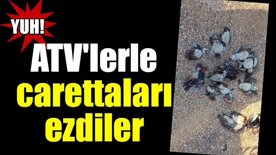 ATV'lerle carettaları ezdiler