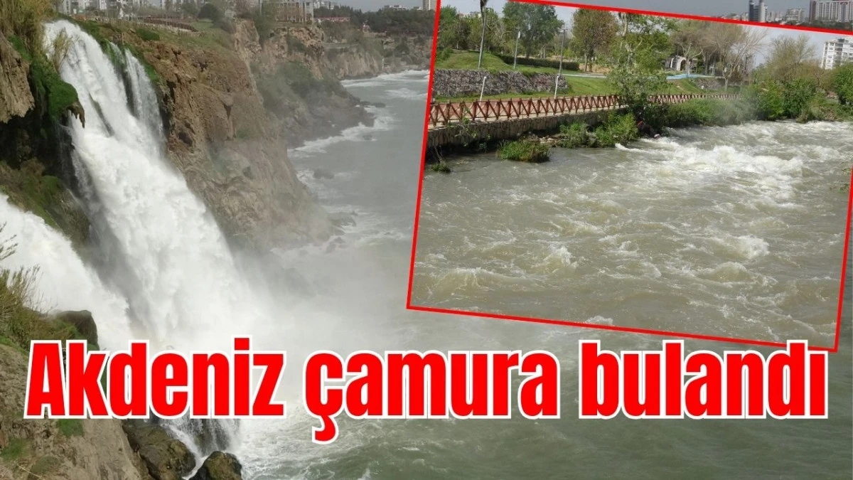 Akdeniz &ccedil;amura bulandı 