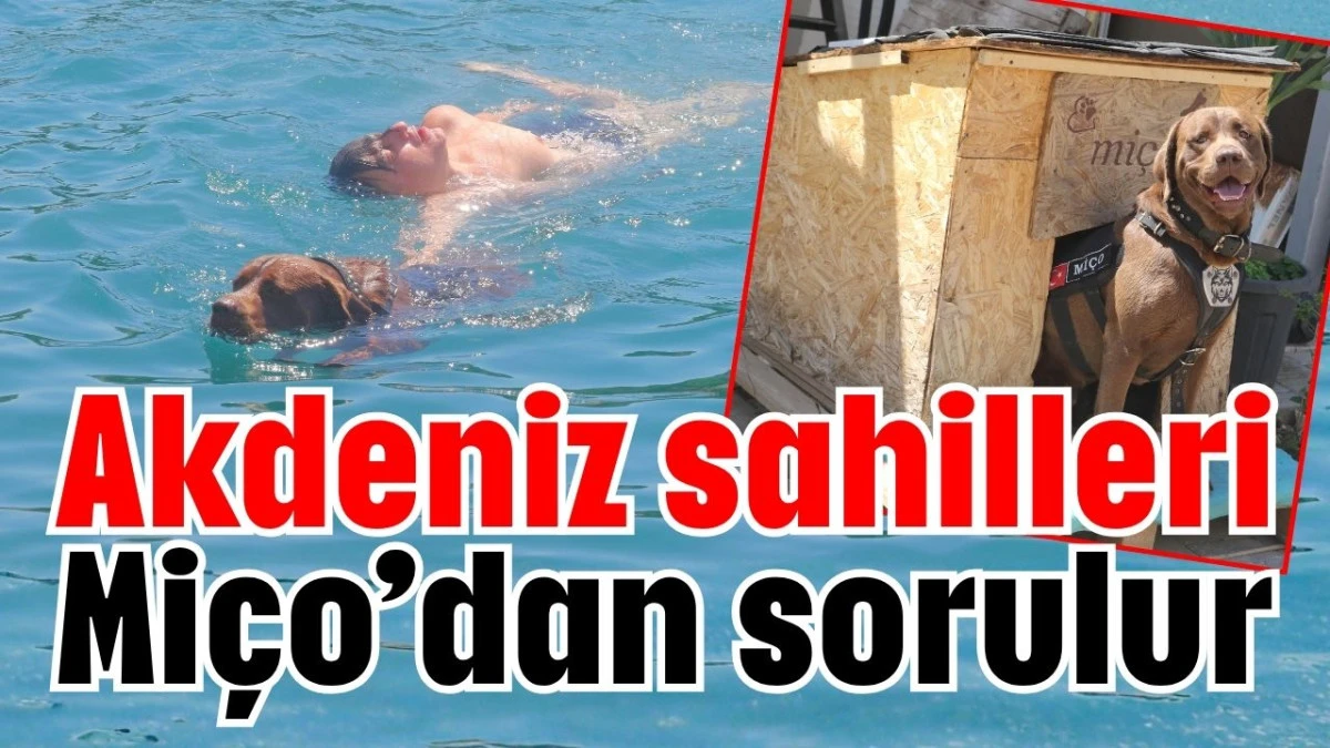 Akdeniz sahilleri Mi&ccedil;o&rsquo;dan sorulur 