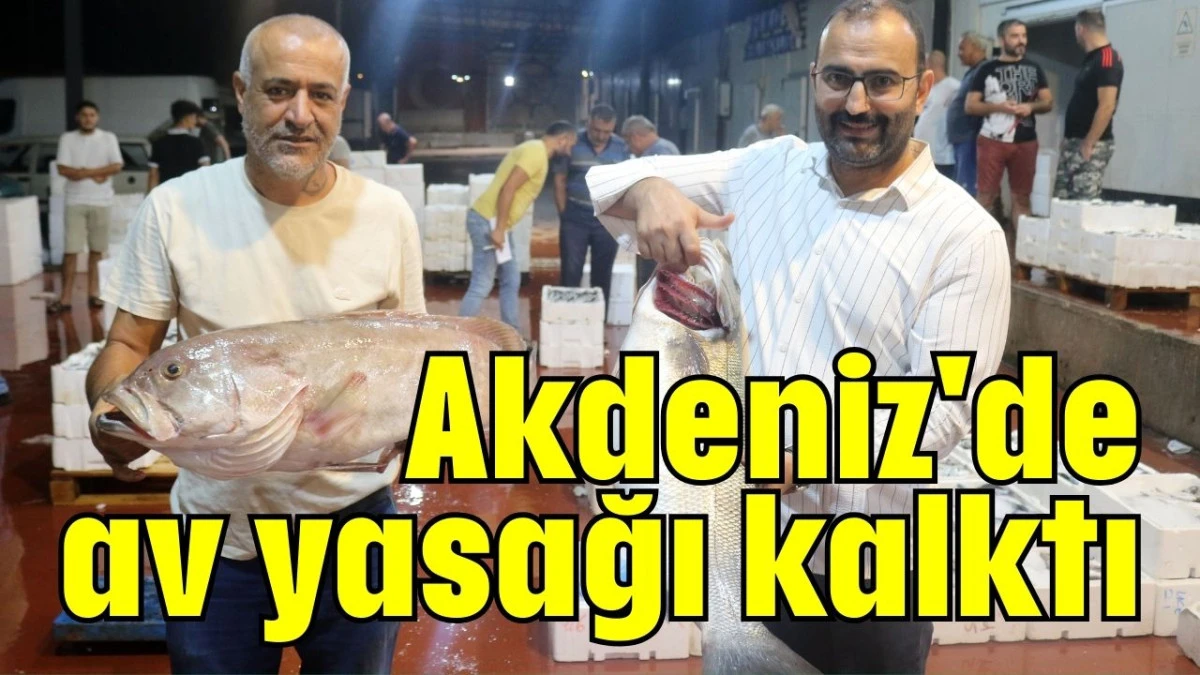 Akdeniz'de av yasağı kalktı  