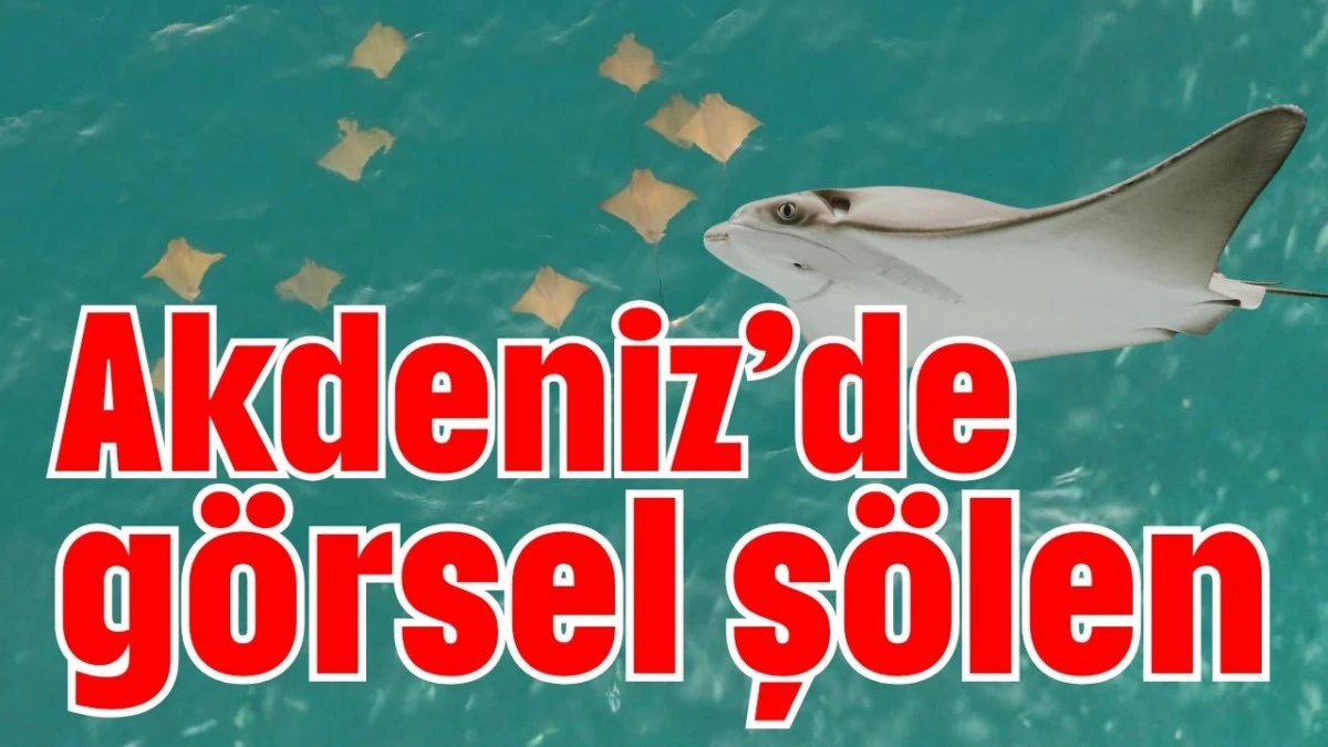 Akdeniz&rsquo;de g&ouml;rsel ş&ouml;len