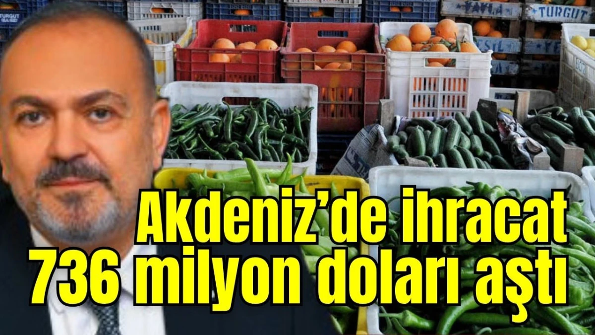 Akdeniz&rsquo;de ihracat 736 milyon doları aştı 