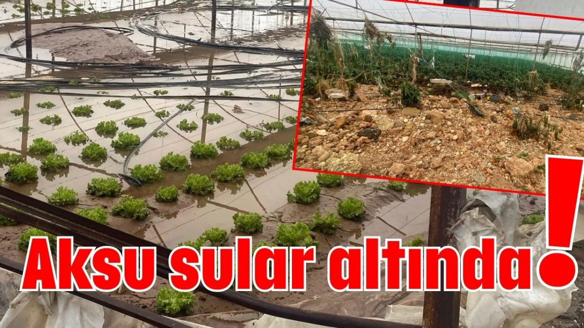 Aksu sular altında! 