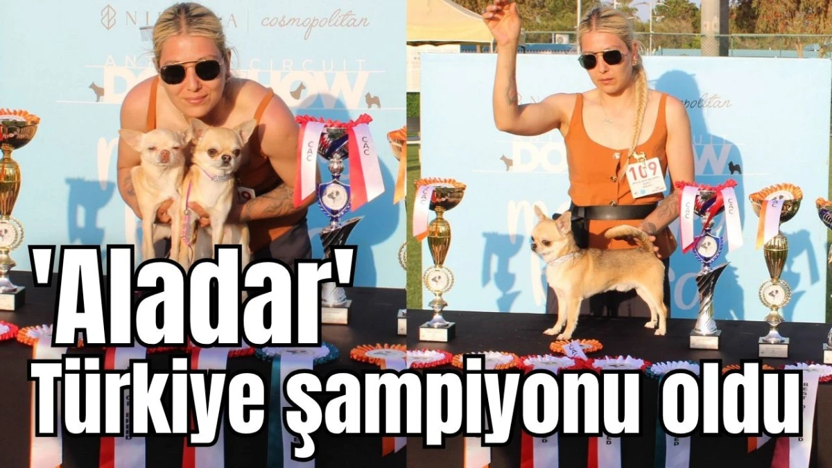 'Aladar' T&uuml;rkiye şampiyonu oldu 