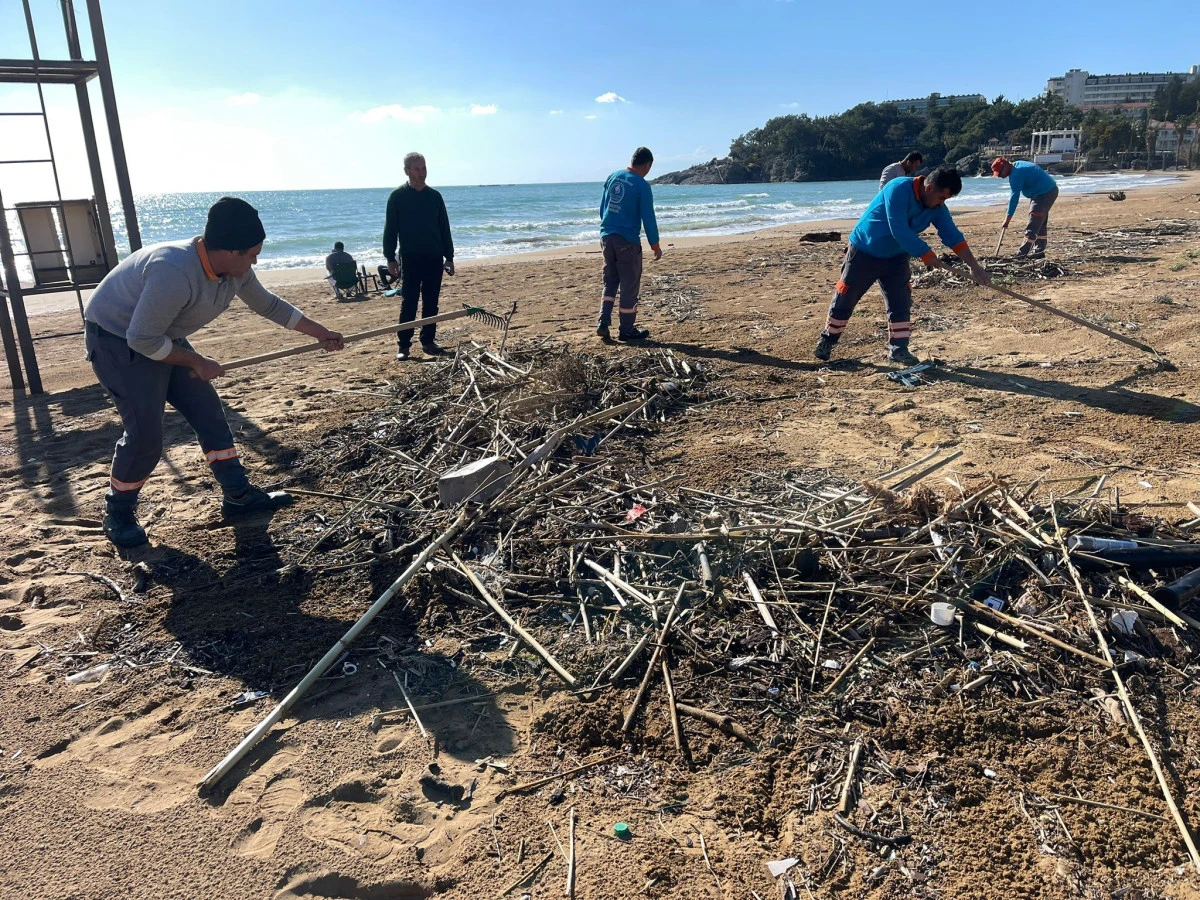 Alanya plajlarında temizlik var