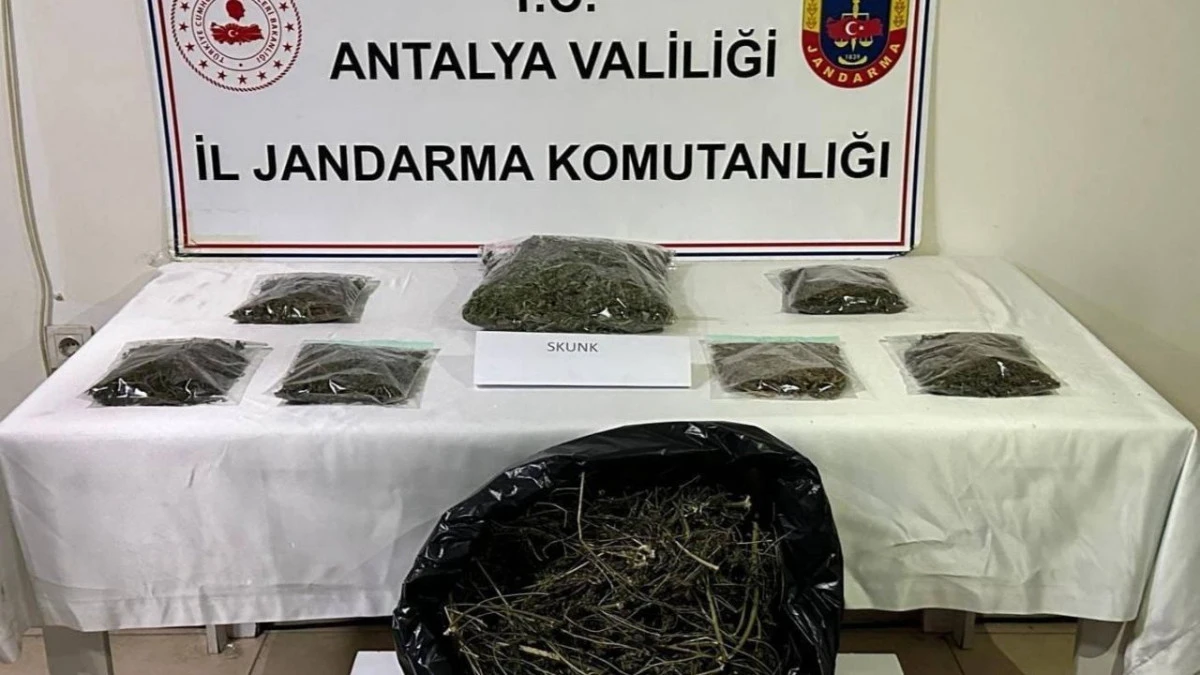 Alanya’da bir evde 800 gram esrar ele geçirildi