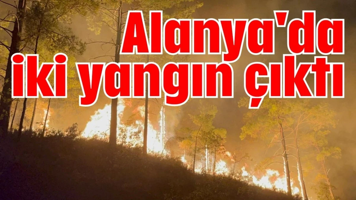 Alanya'da iki yangın çıktı 