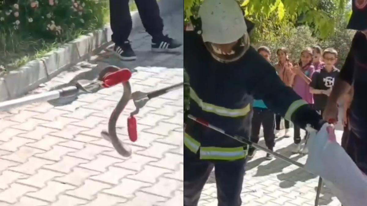 Alanya'da ilkokulda yılan paniği