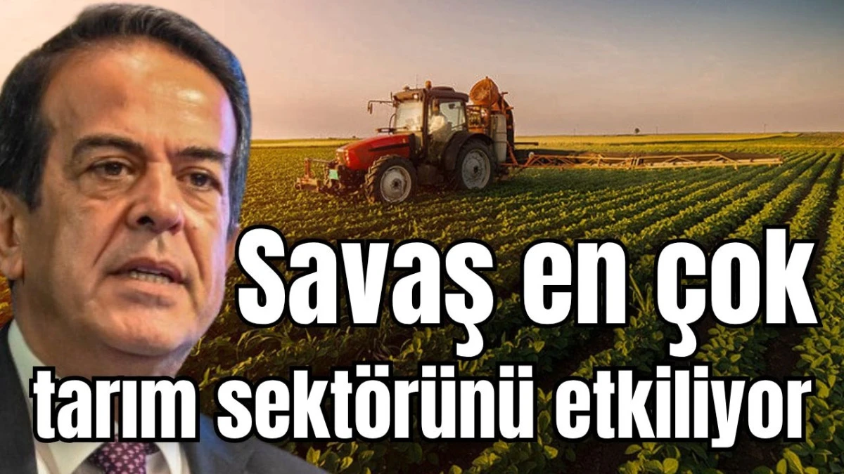 Ali &Ccedil;andır: Savaş en &ccedil;ok tarım sekt&ouml;r&uuml;n&uuml; etkiliyor