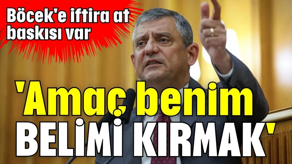 'Ama&ccedil; benim belimi kırmak' 