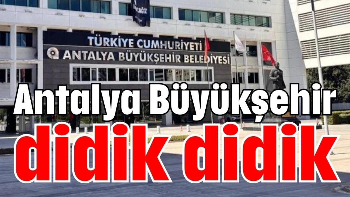 Antalya Büyükşehir didik didik   