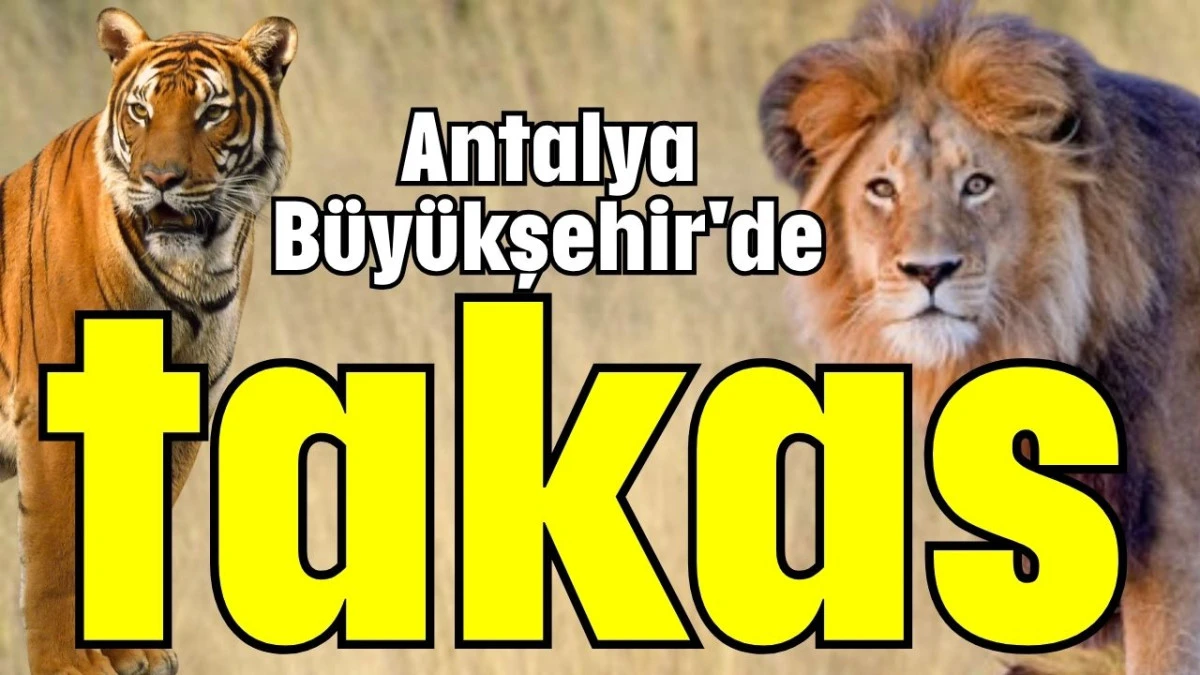 Antalya Büyükşehir'de takas  