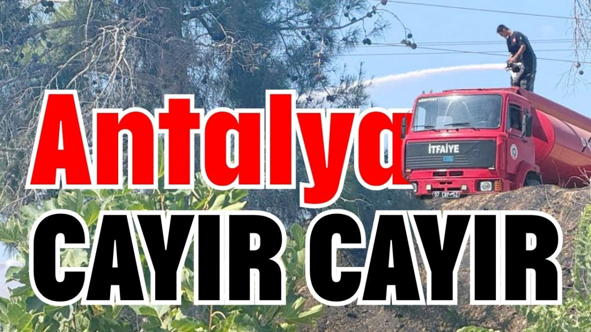 Antalya cayır cayır