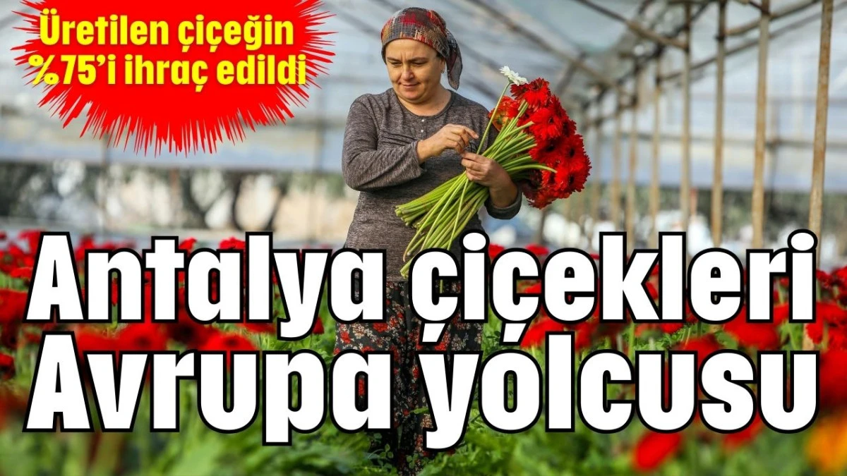 Antalya &ccedil;i&ccedil;ekleri Avrupa yolcusu 