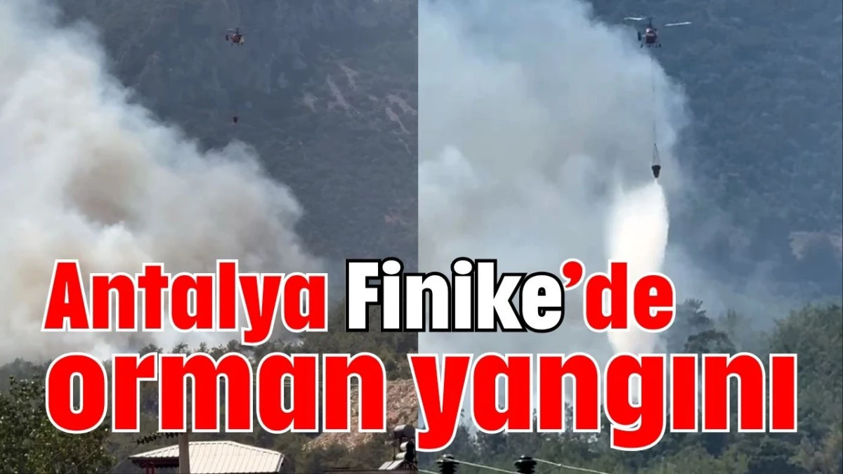 Antalya Finike’de orman yangını  