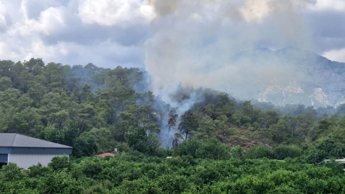 Antalya Kemer'de orman yangını çıktı  