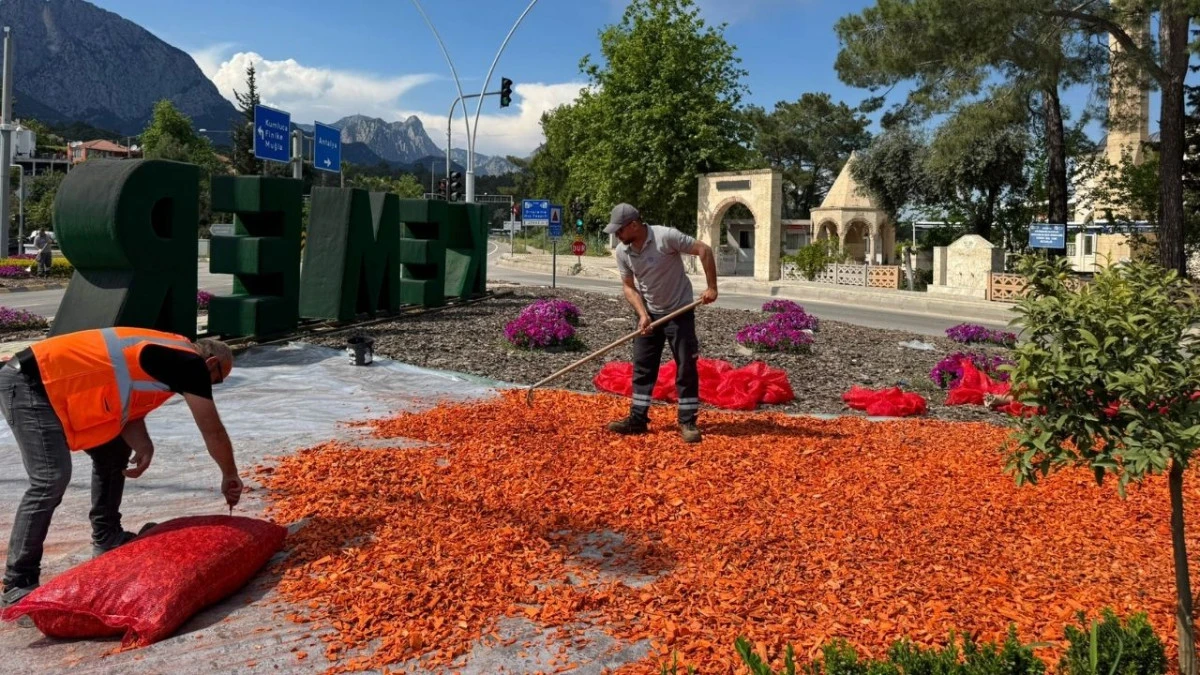 Antalya Kemer'de peyzaj ve &ccedil;evre d&uuml;zenlemesi &ccedil;alışmaları s&uuml;r&uuml;yor 