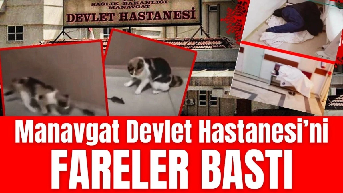 Antalya Manavgat Hastanesi'ni fareler bastı!