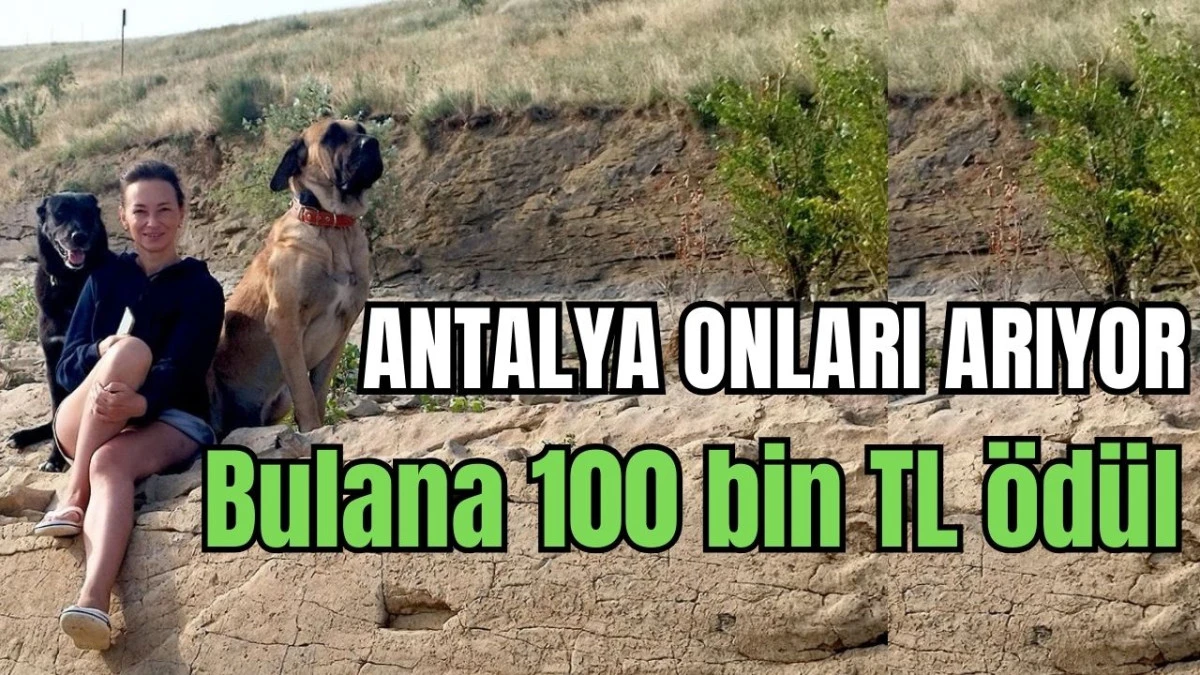 Antalya onları arıyor! Bulana 100 bin TL &ouml;d&uuml;l