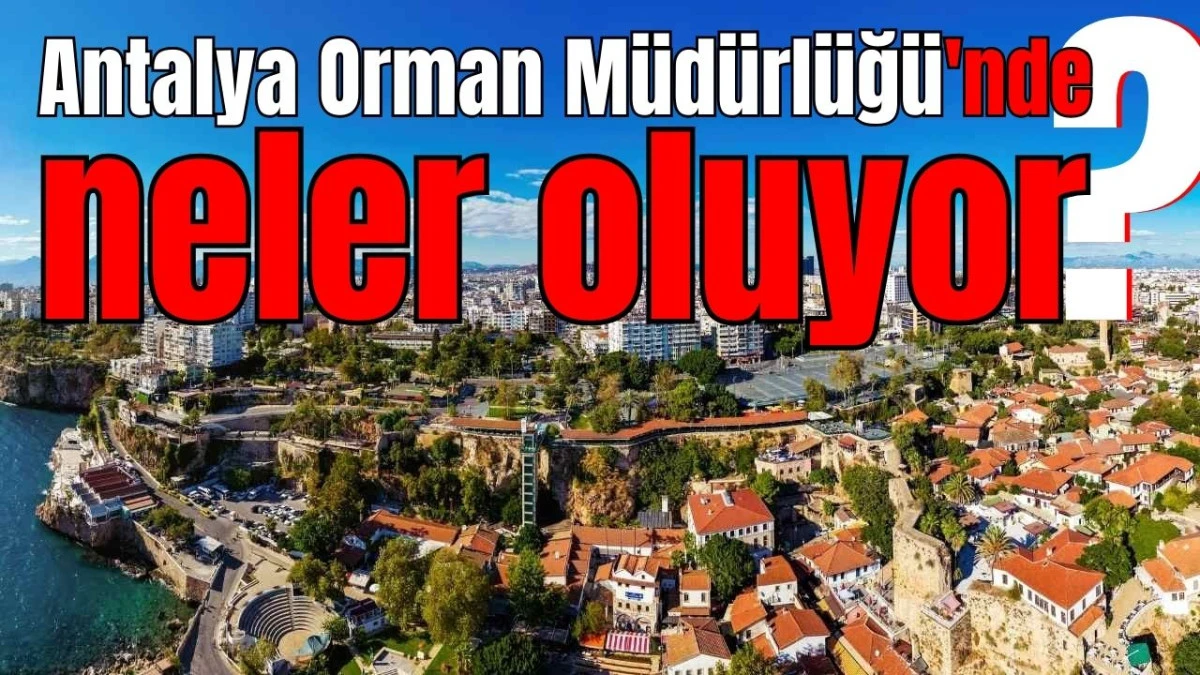 Antalya Orman M&uuml;d&uuml;rl&uuml;ğ&uuml;'nde neler oluyor?