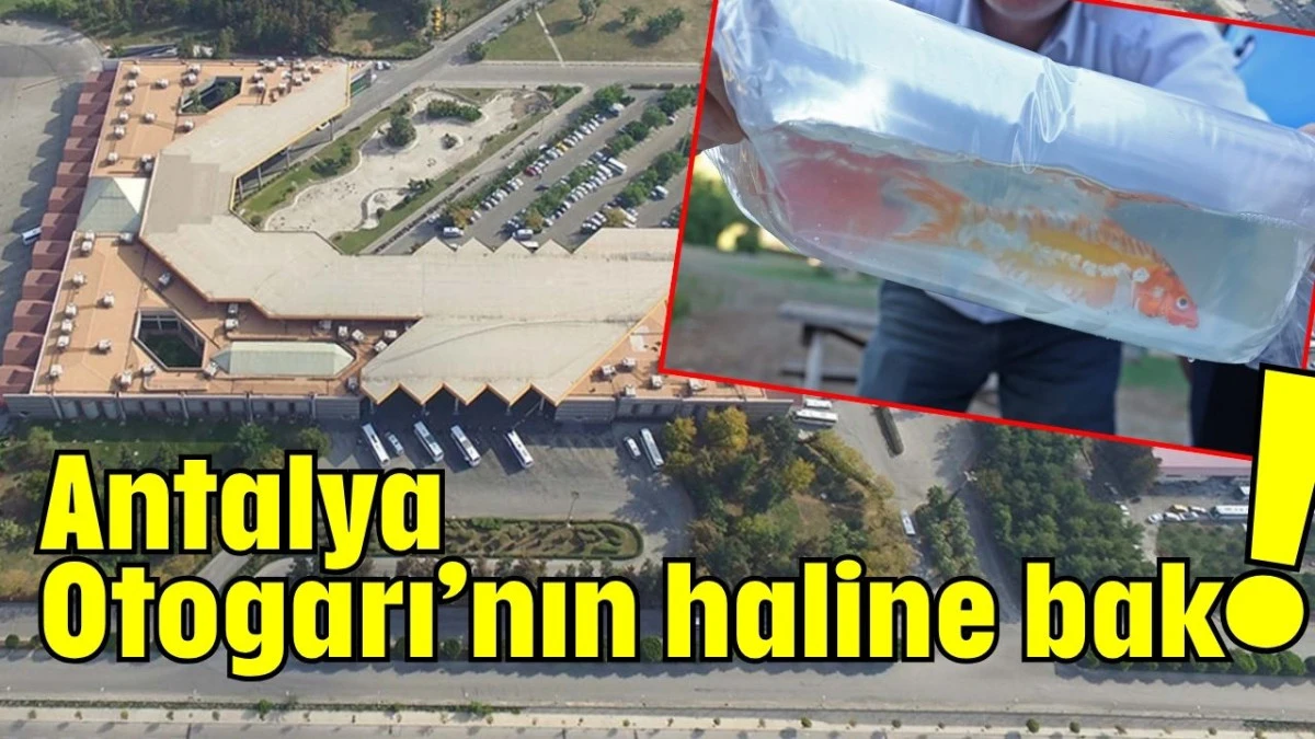 Antalya Otogarı’nın haline bak!
