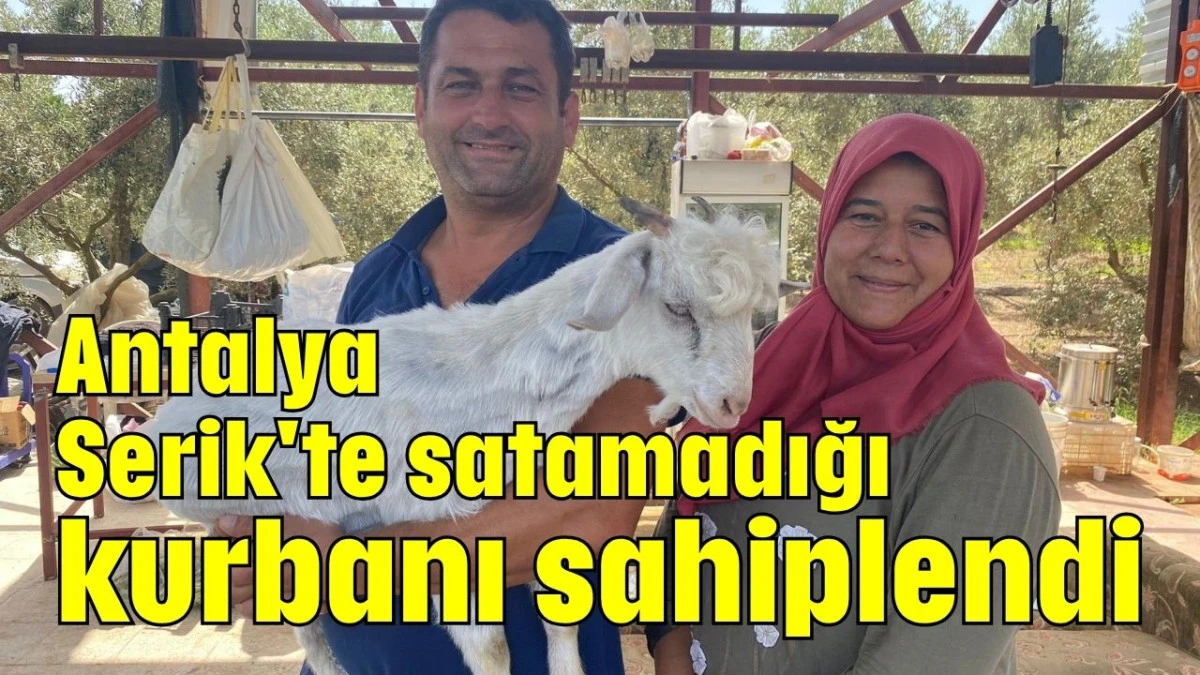 Antalya Serik'te satamadığı kurbanı sahiplendi  