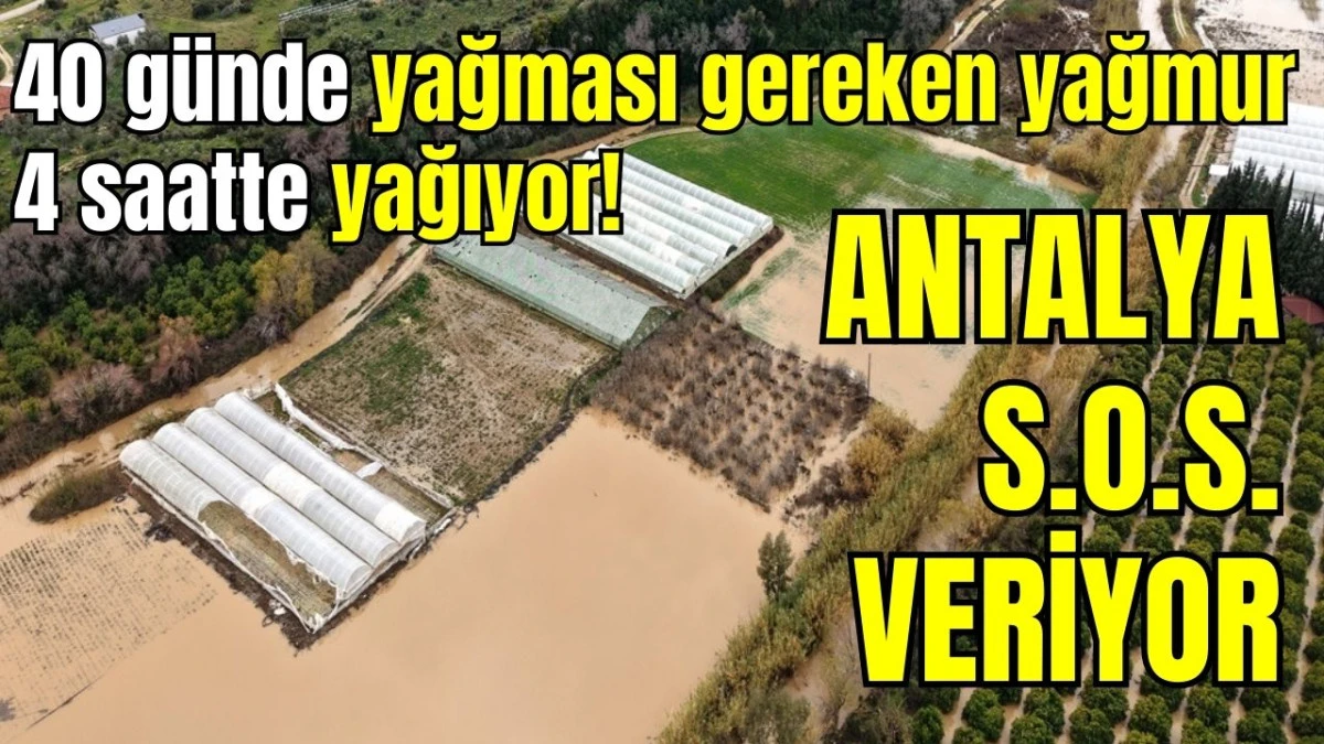 Antalya S.O.S. veriyor!