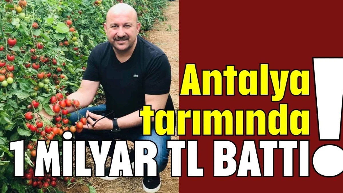 Antalya tarımında 1 milyar TL battı!   