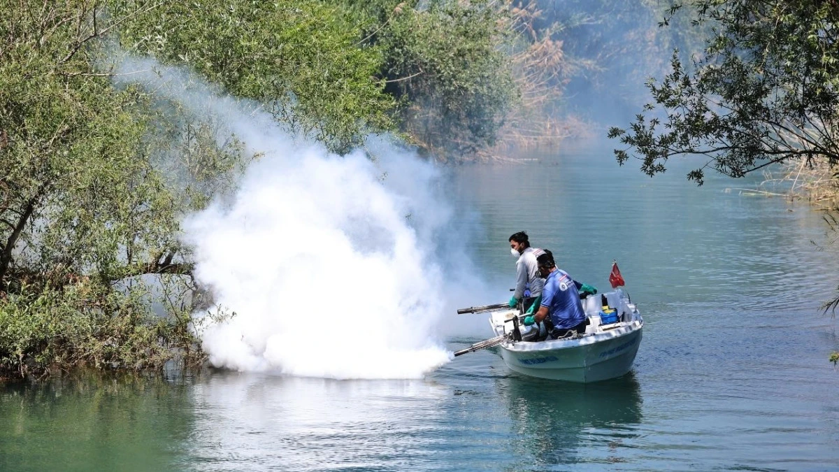 Antalya ve il&ccedil;elerinde vekt&ouml;r m&uuml;cadelesi s&uuml;r&uuml;yor