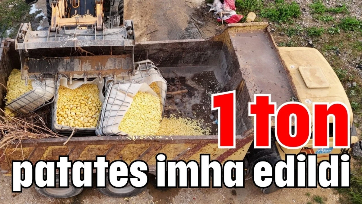 Antalya'da 1 ton patates imha edildi