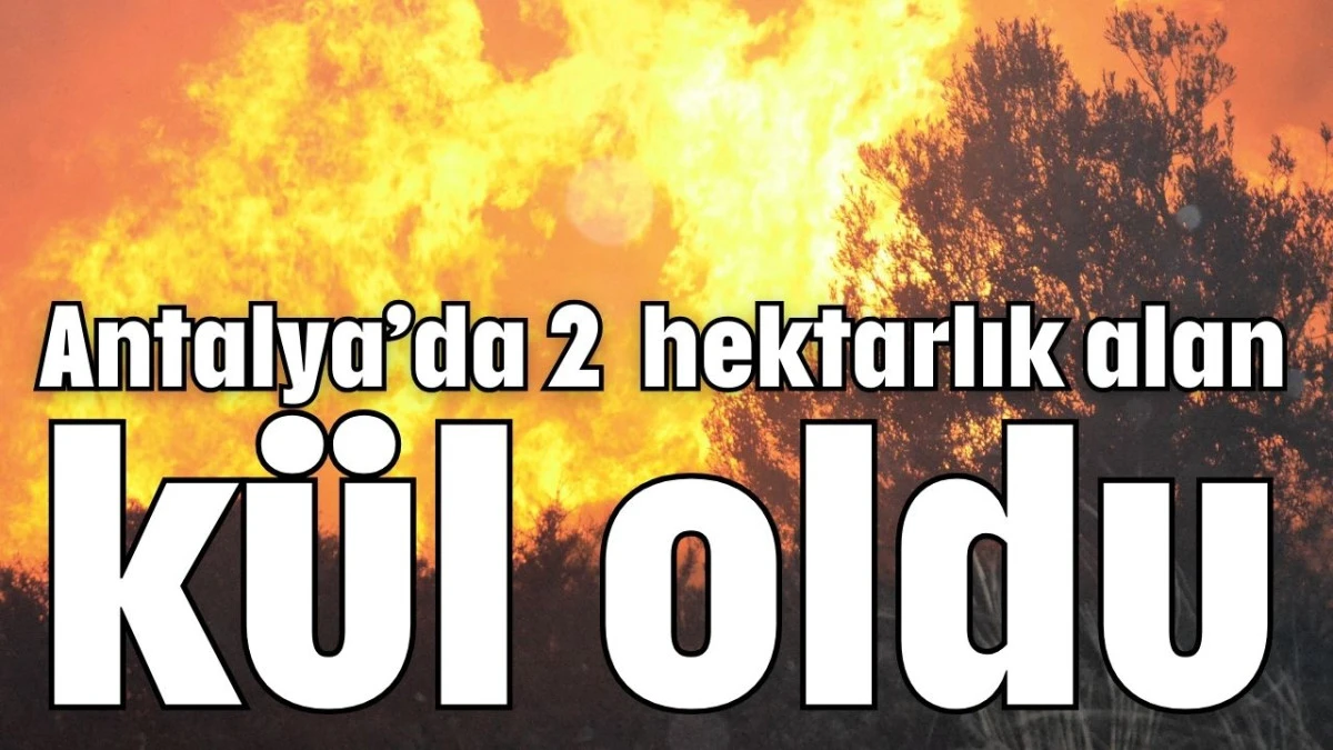 Antalya&rsquo;da 2 hektarlık alan k&uuml;l oldu 