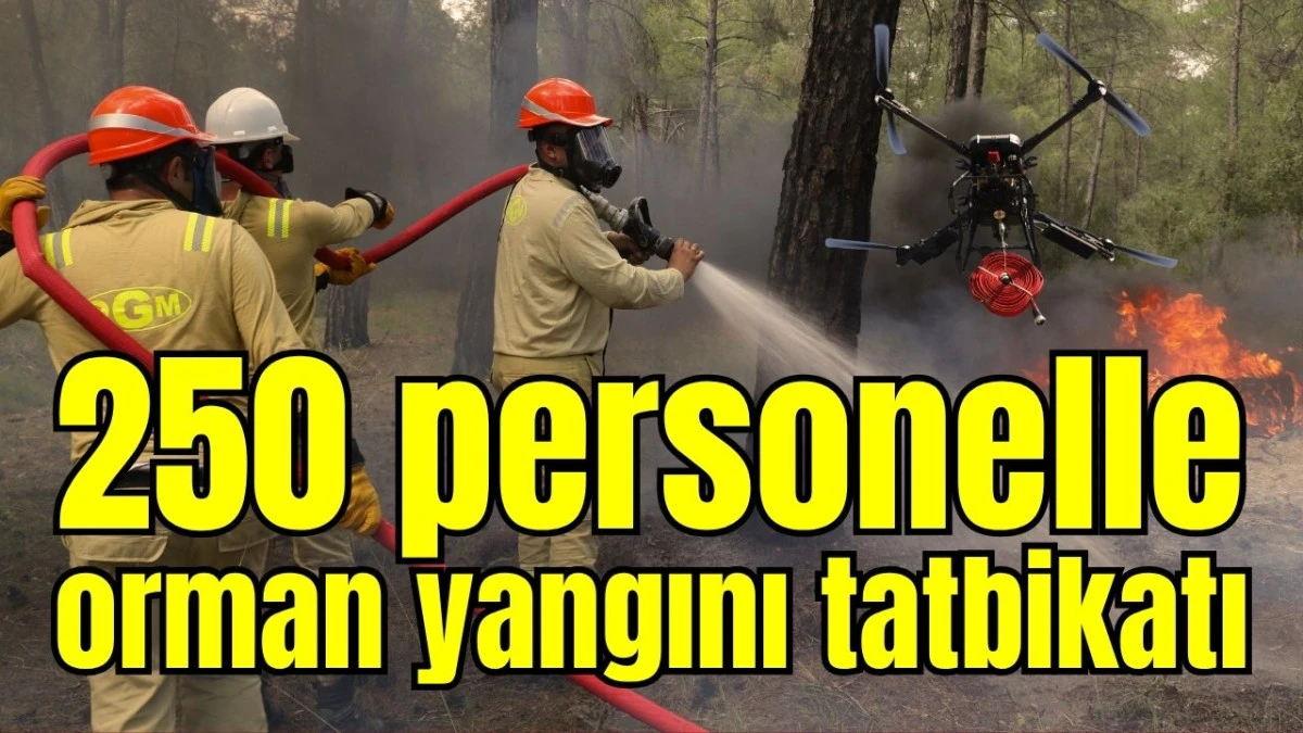 Antalya'da 250 personelle orman yangını tatbikatı