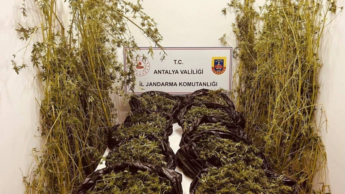 Antalya'da 53 kilo uyuşturucu ele geçirildi  