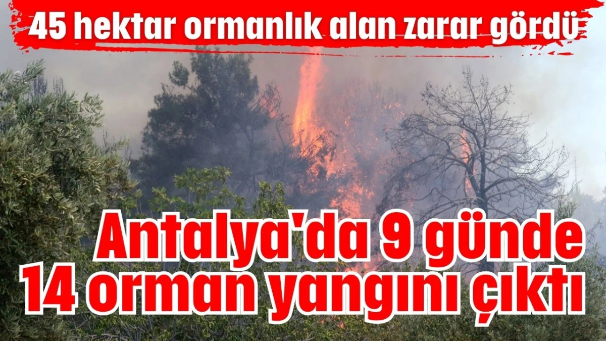 Antalya'da 9 günde 14 orman yangını çıktı  