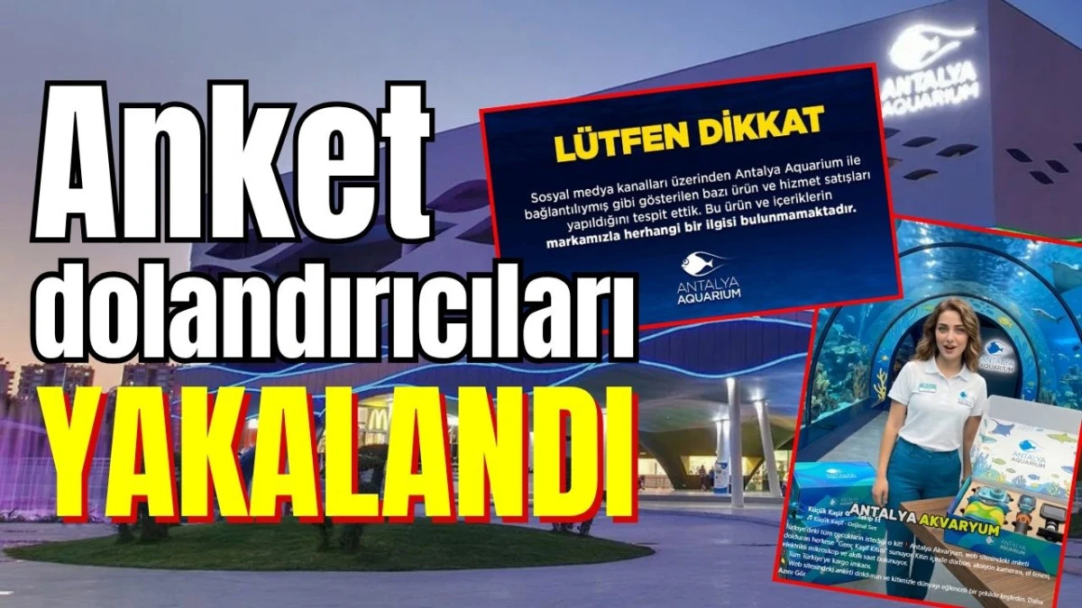 Antalya'da anket dolandırıcıları yakalandı 