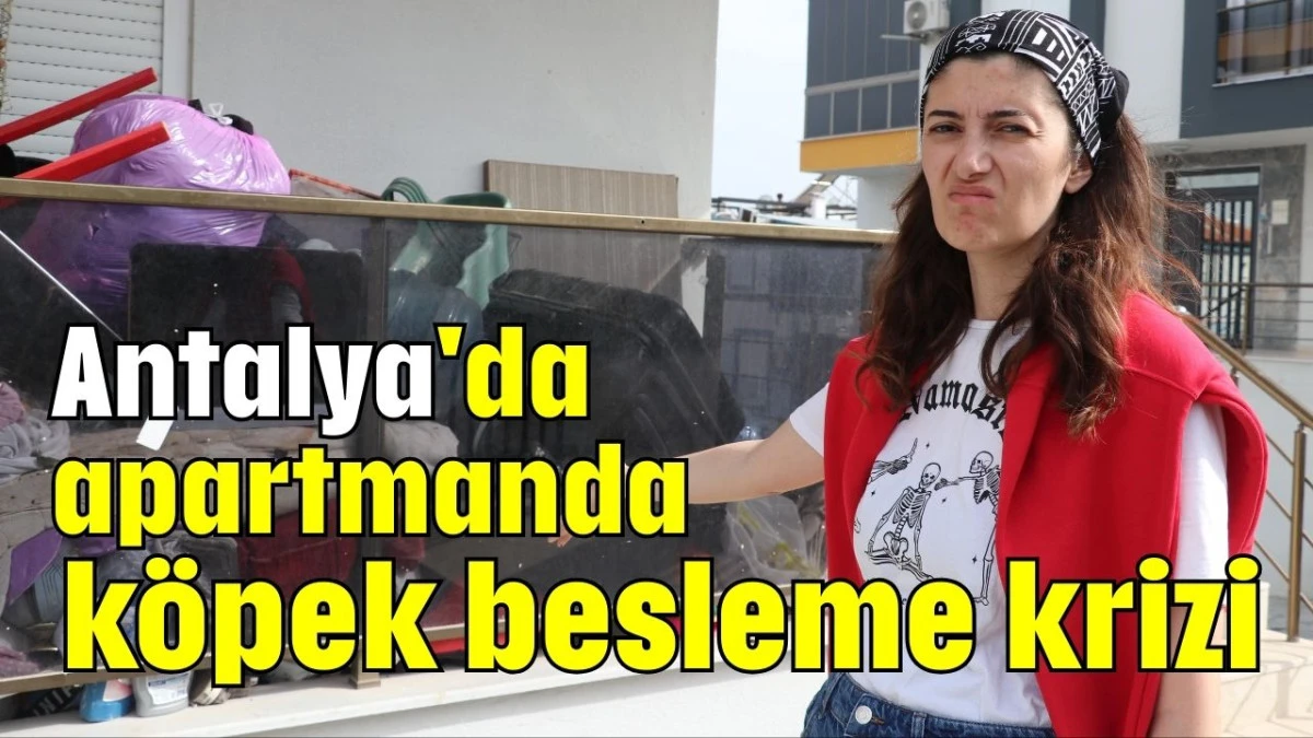 Antalya'da apartmanda köpek besleme krizi  