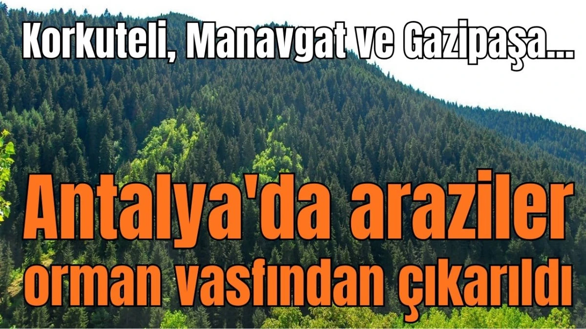 Antalya'da araziler orman vasfından &ccedil;ıkarıldı