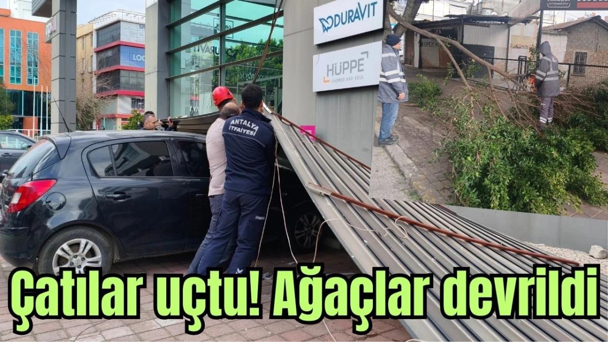 Antalya'da &ccedil;atılar u&ccedil;tu! Ağa&ccedil;lar devrildi