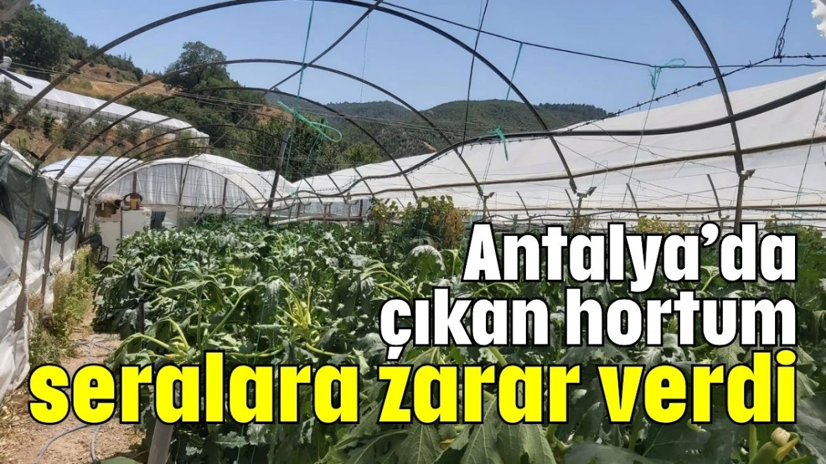 Antalya’da çıkan hortum seralara zarar verdi   