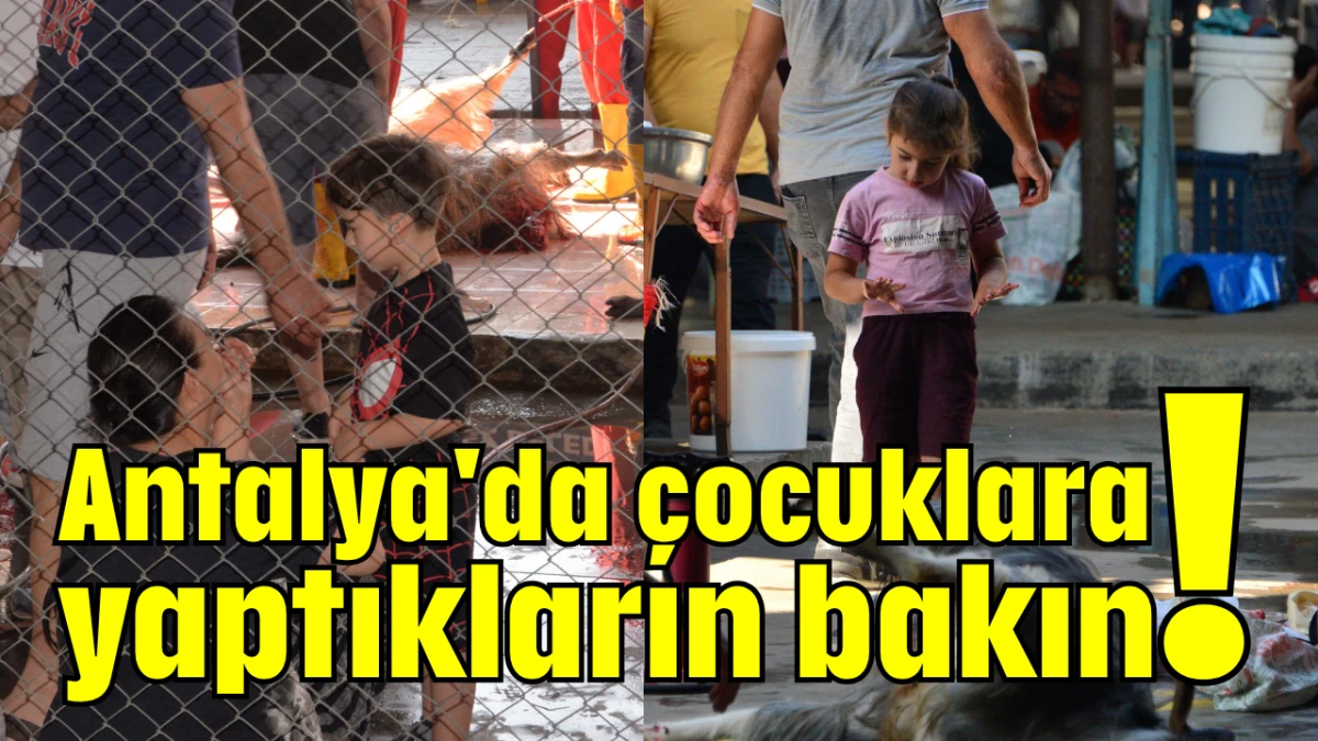 Antalya'da çocuklara yaptıkların bakın!   