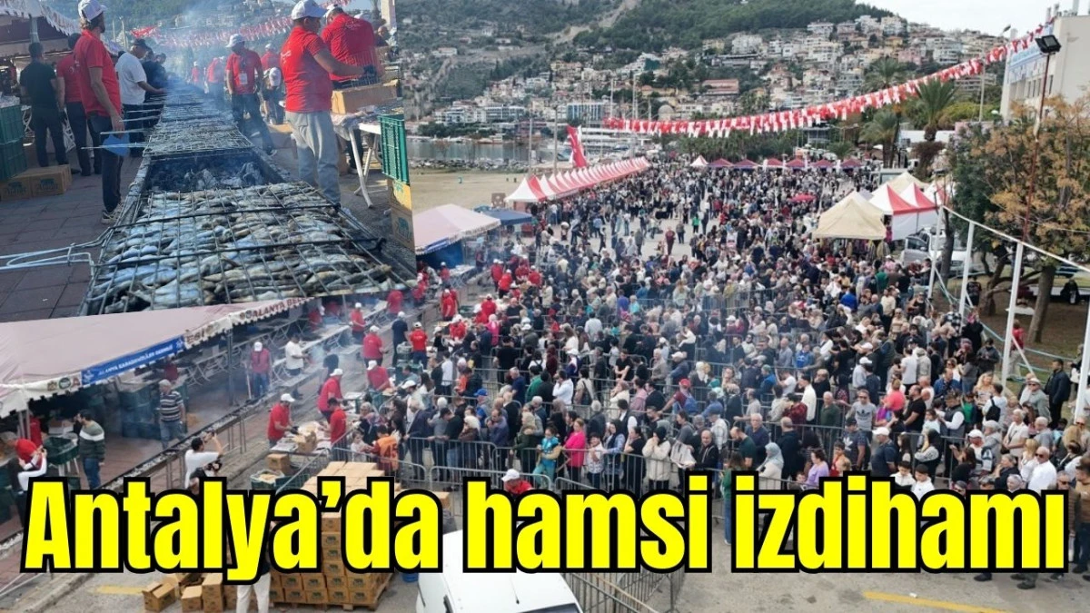 Antalya'da hamsi izdihamı