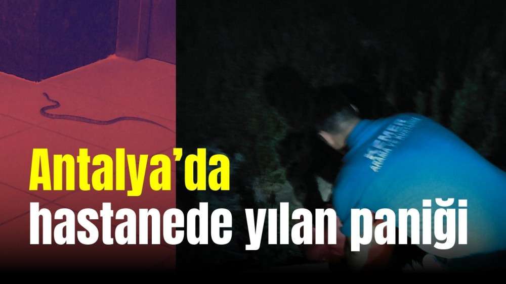 Kemer Devlet Hastanesi'nde yılan paniği