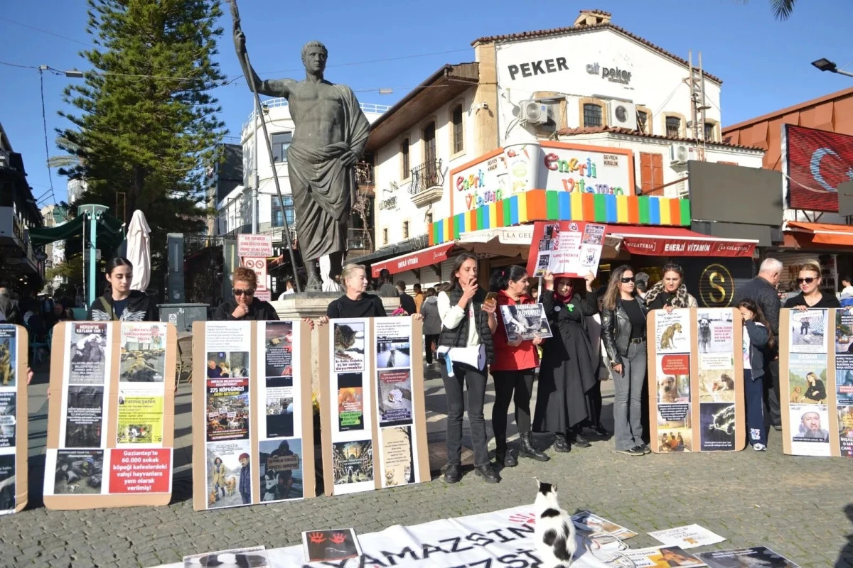 Antalya'da hayvan dostları yaşam hakkı istedi