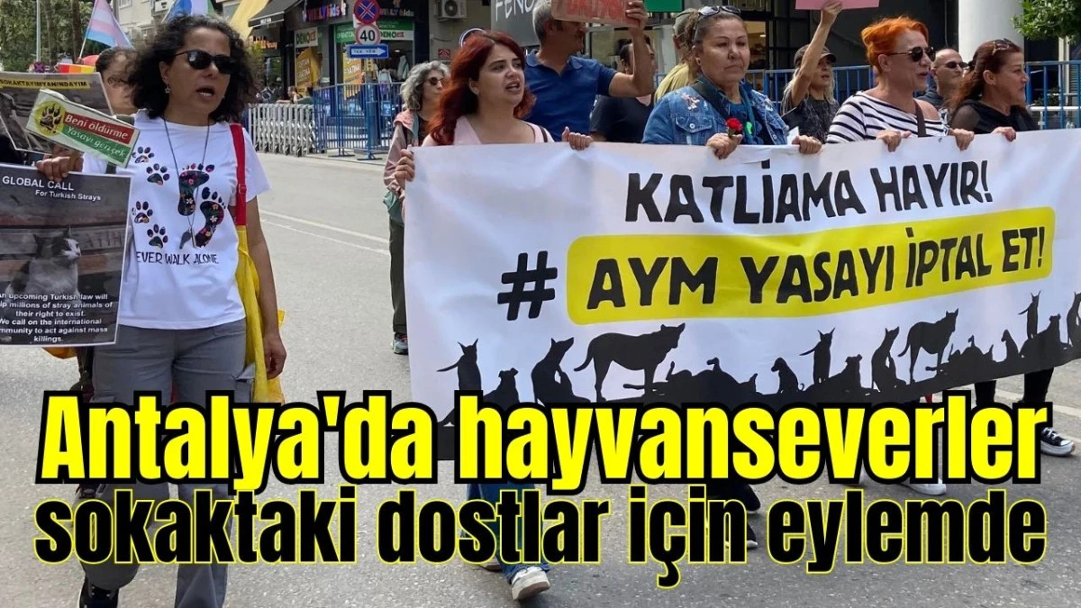 Antalya'da hayvanseverler sokaktaki dostlar için eylemde