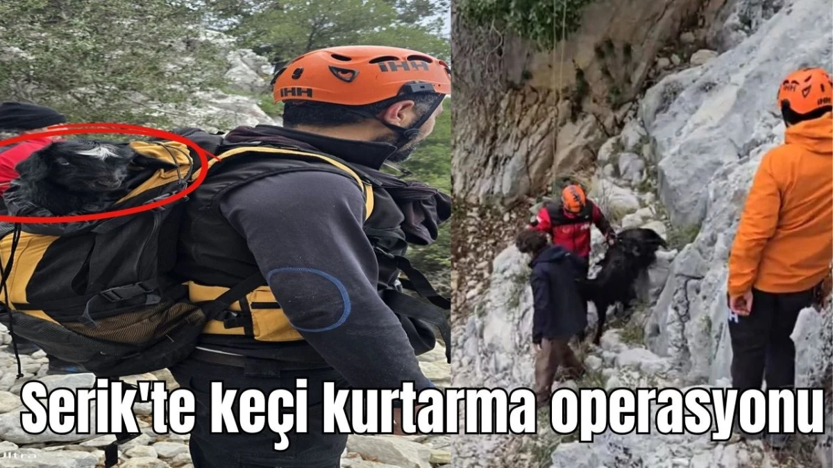 Antalya'da ke&ccedil;i kurtarma operasyonu
