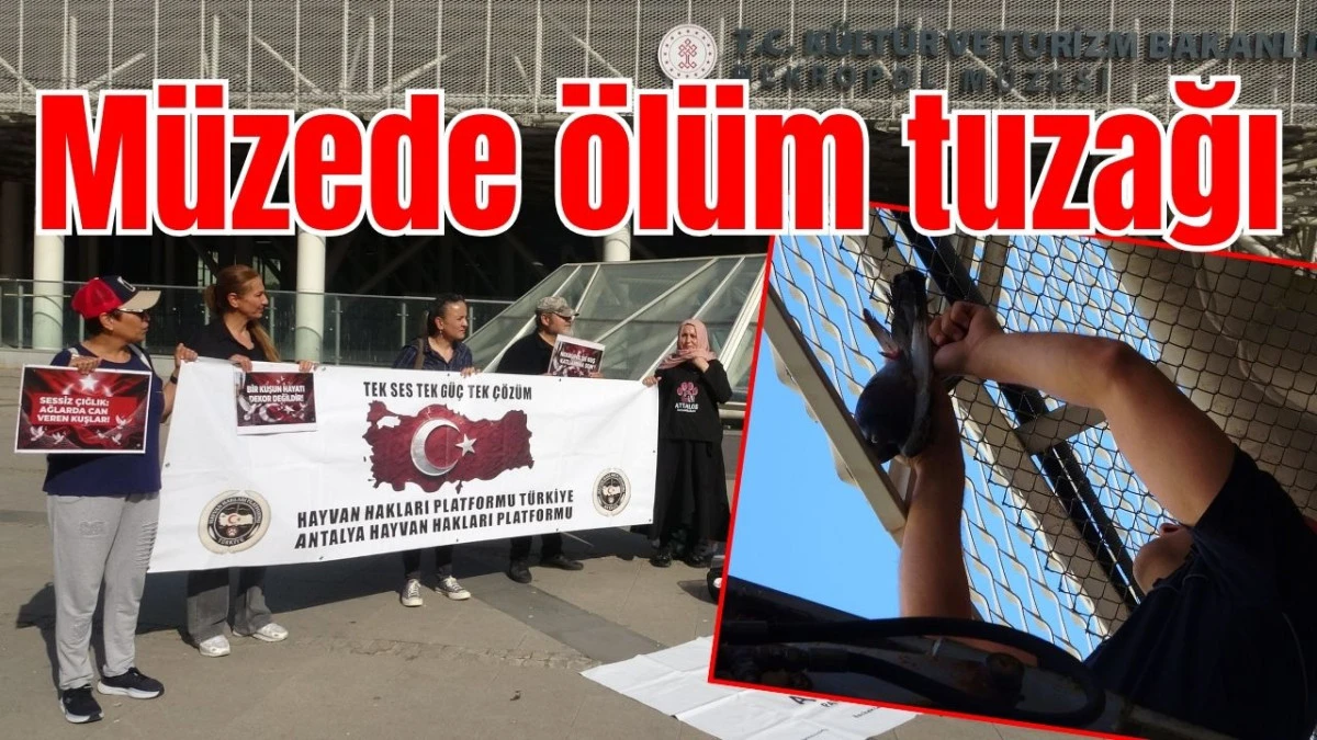 Antalya&rsquo;da m&uuml;zede &ouml;l&uuml;m tuzağı