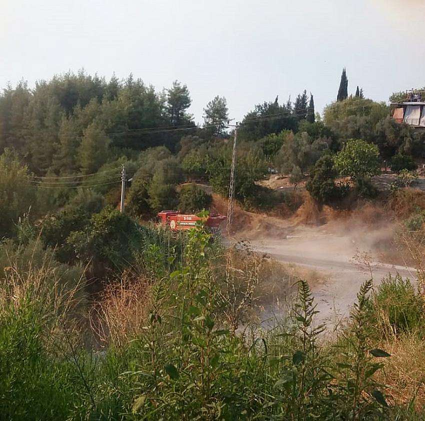 Serik'te orman yangını